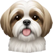 Shih tzu sticker