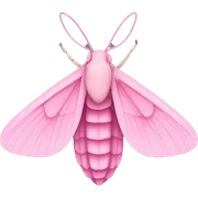 Pink moth sticker