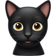 Black cat  sticker