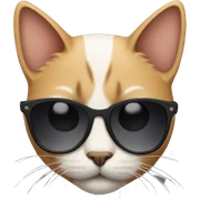 Cat with sunglasses sticker