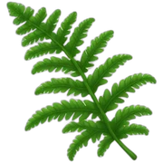 Fern sticker