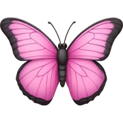 Pink butterfly  sticker