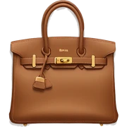 Birkin bag sticker