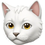 Muscular white cat sticker