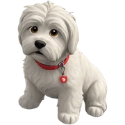 dog in sunny outdoor scene sticker