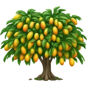 Mango tree sticker