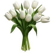 white tulip bouquet  sticker
