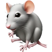 rat sits at macbook sticker