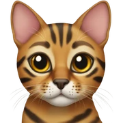 Bengal Cat  sticker