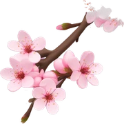 Cherry blossom bouquet sticker