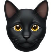 Black cat  sticker