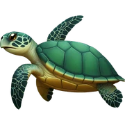 Sea turtle  sticker