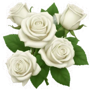 white roses sticker