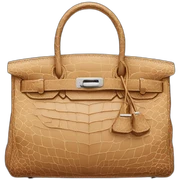 nightjar birkin bag sticker