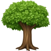 Tree sticker
