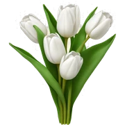white tulip bouquet  sticker
