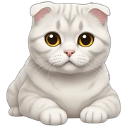 Scottish fold sticker