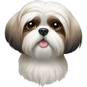 Shih tzu sticker