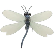 libelula sticker