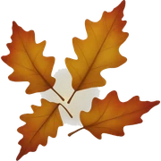 autumn sticker