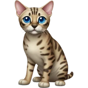 Seal Bengal cat with Blue eyes standing sticker