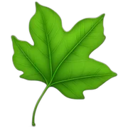 leaf sticker
