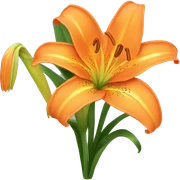 An orange Lilly flower  sticker