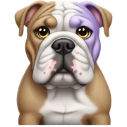 Lilac English bulldog  sticker