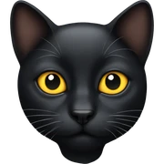 Black cat sticker