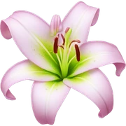 Lilly flower sticker