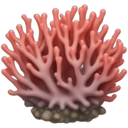 coral sticker