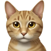 Gato  sticker