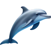 Dolphin  sticker