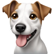 Jack russel sticker