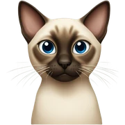 Siamese cat mad because is not getting any food sticker