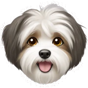 Havanese sticker