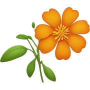 orange flower sticker