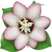 Moonflower sticker