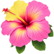 yellow and pink hibiscus flower sticker