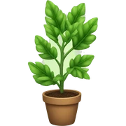 plant sticker