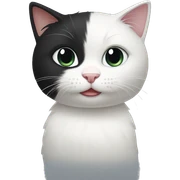 White and black cat  sticker