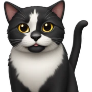 Black cat sticker