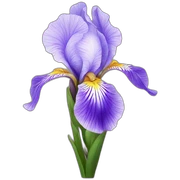 Iris flower sticker