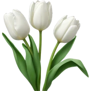 White tulips sticker