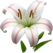 Lily flower sticker