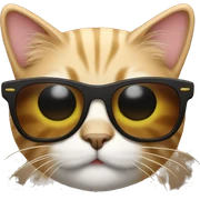 Cat with sunglasses sticker