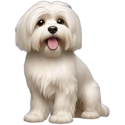 Dog havanese full height sticker