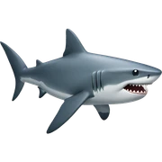 Shark  sticker