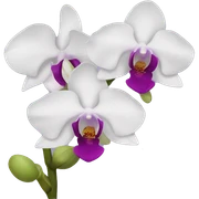 Orchid sticker