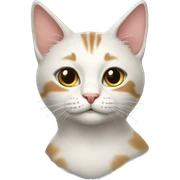 Katze  sticker
